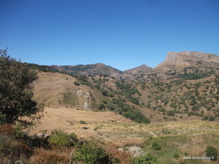ano Margi-27-08-2014 09-21-50